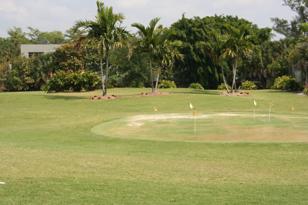 Flags on a golf course