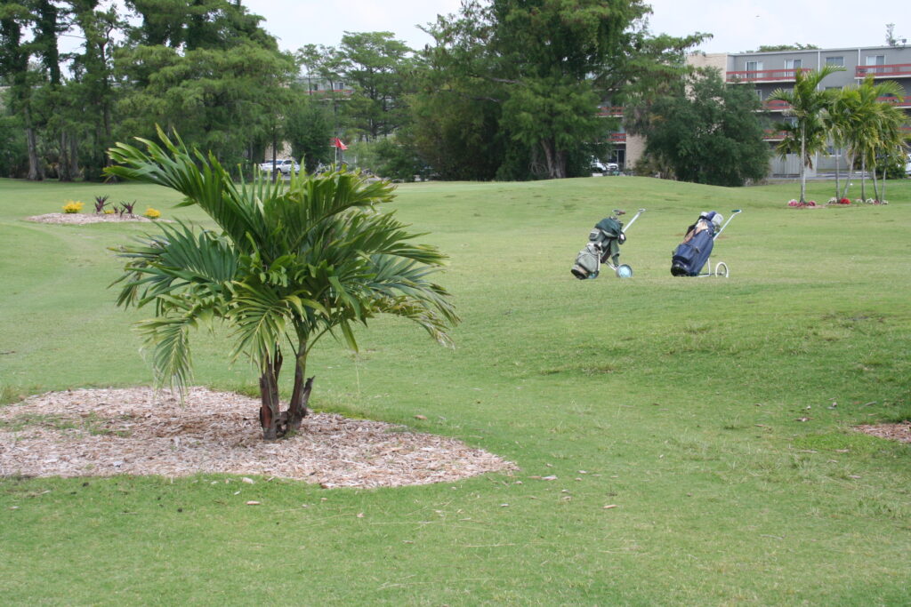 Two golf bags on a golf park