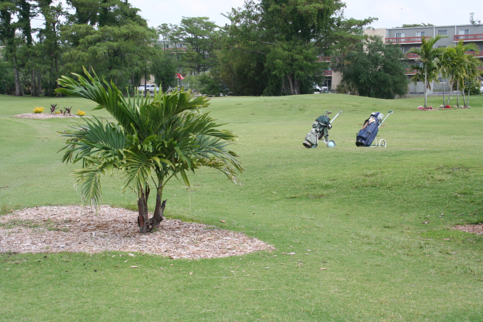 Two golf bags on a golf park