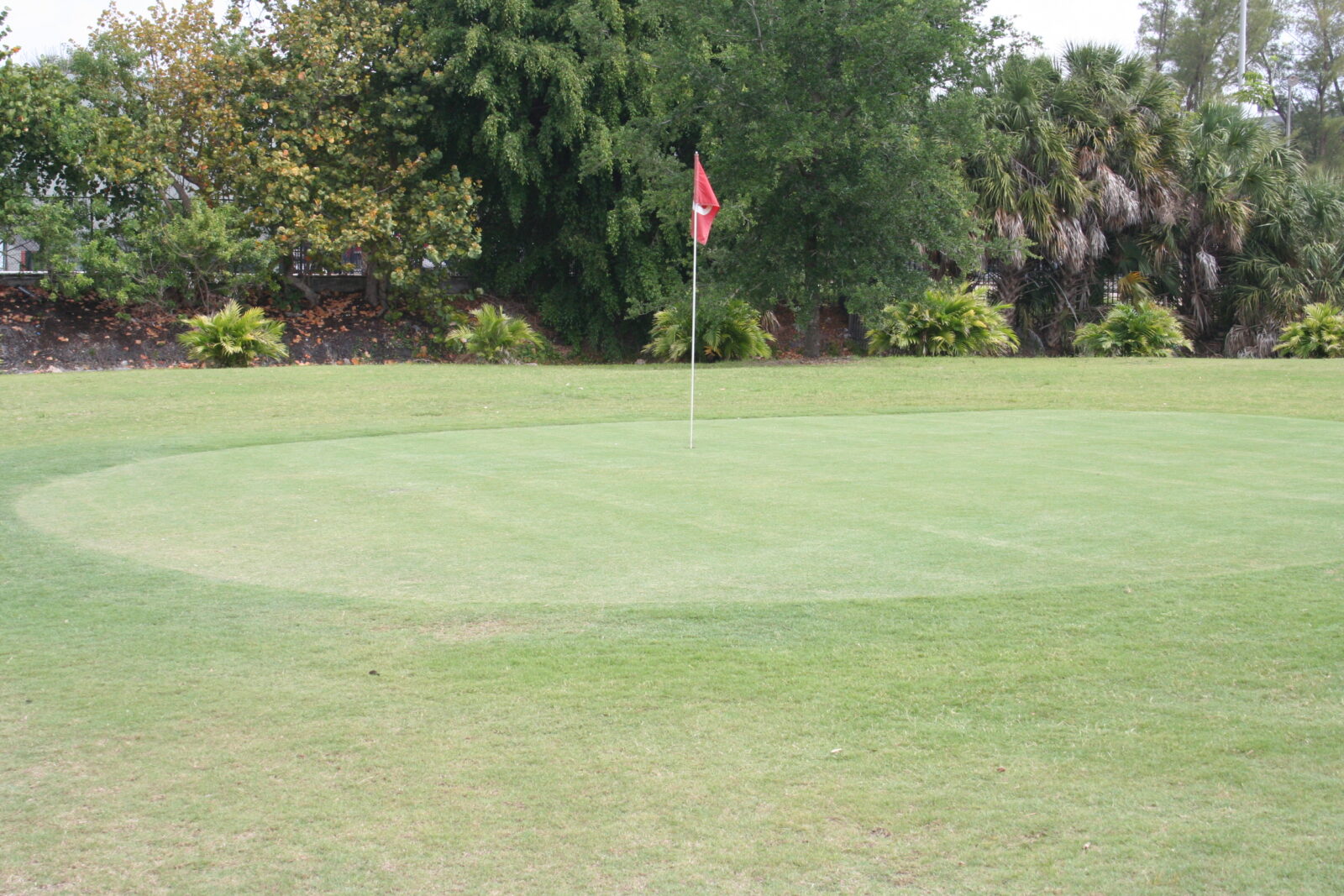 Golf course flag in a hole
