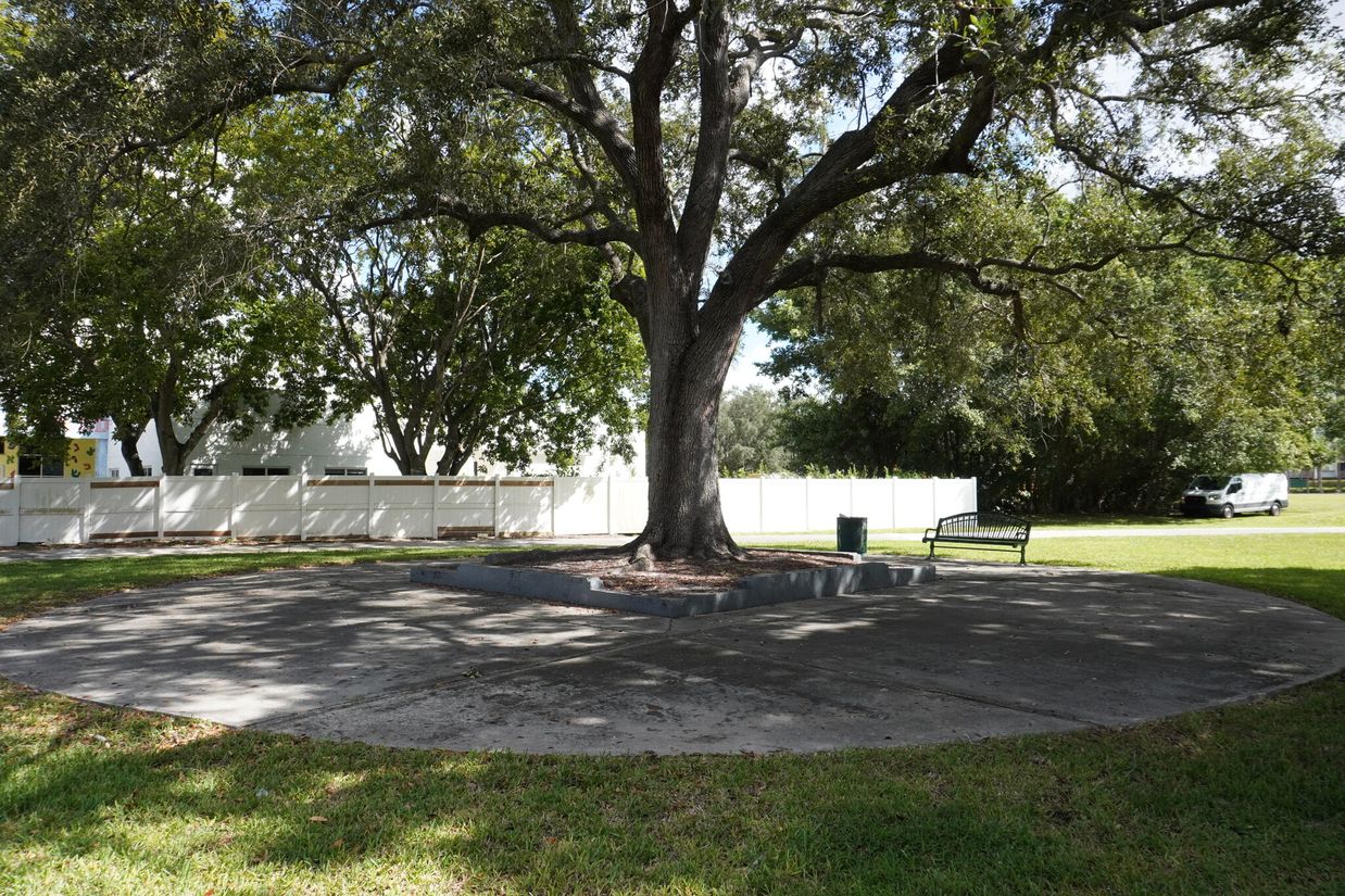Screenshot 2026-07-28 at 22-51-54 NEAT_RuthRothkopfParkPlaygroundTree_2025-10-21-Before.JPG Powered by Box