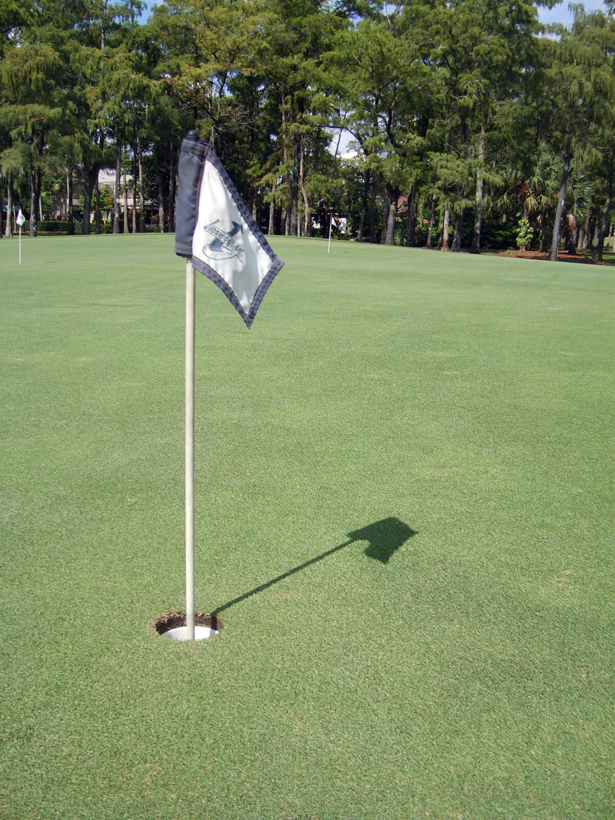Flag on a golf course