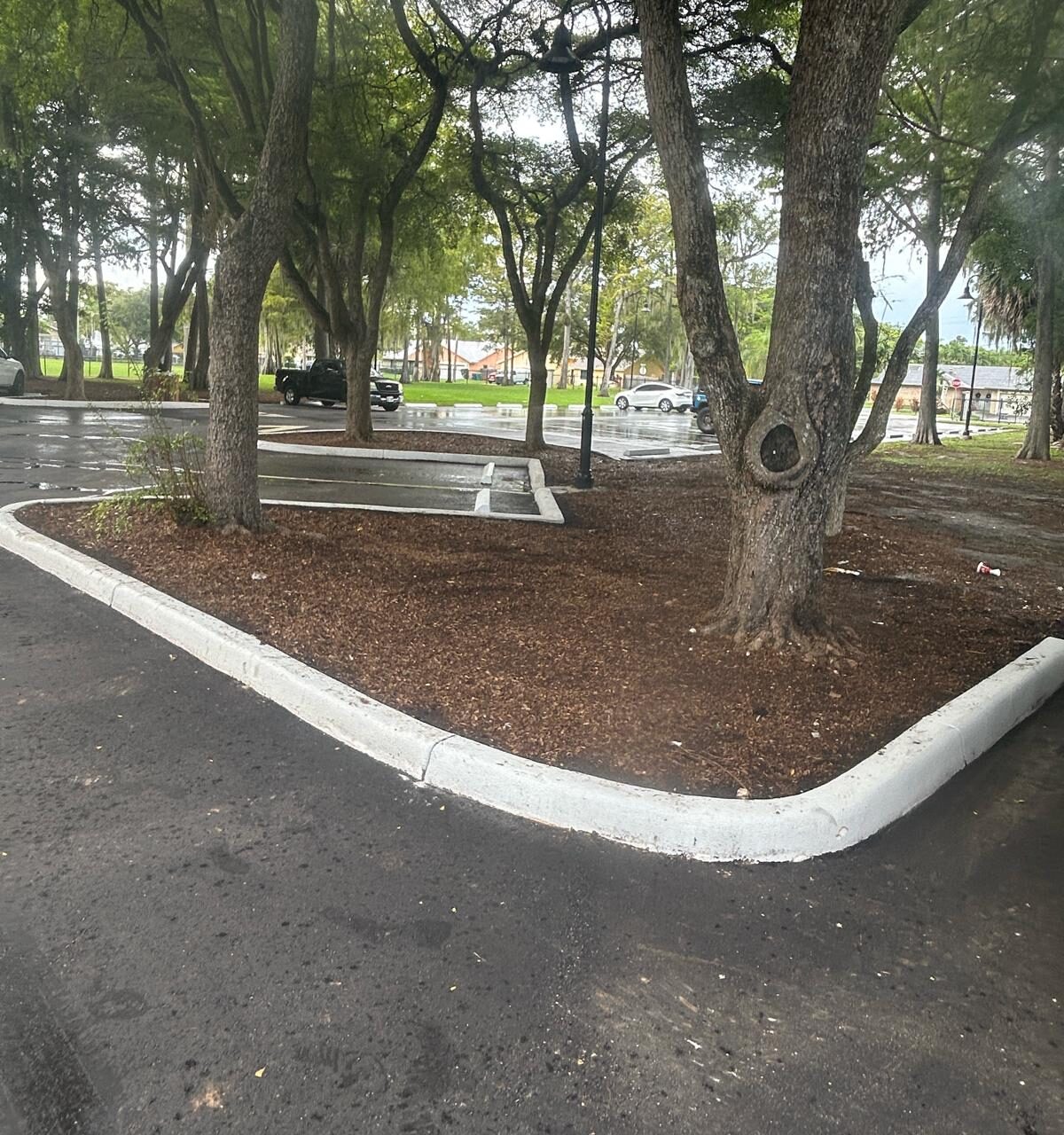 Parking Lot 5