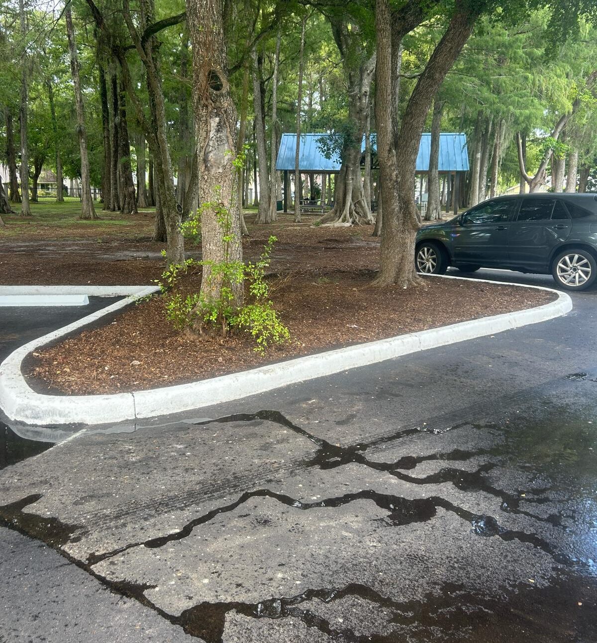 Parking Lot 7